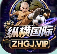 纵横国际